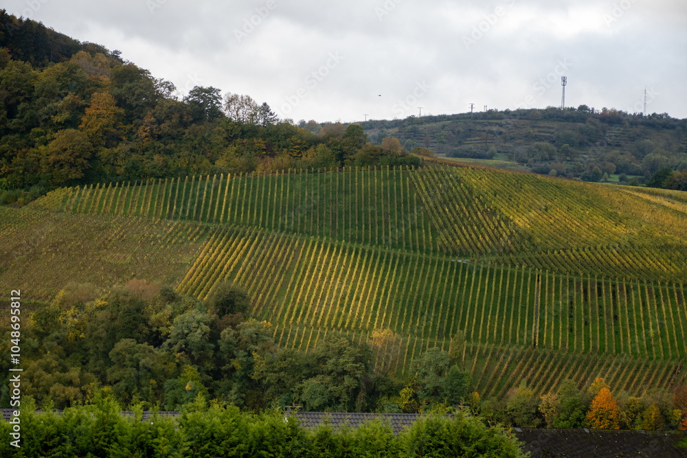 Fototapeta premium Panoramic view of terraced vineyards around Nittel, Rhineland-Palatinate, Germany and views across Moselle River on vineyard hills of Luxembourg near Grevenmacher