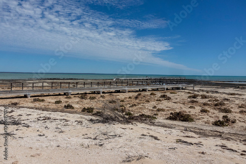 Hamelin Pool Stromatolites. Oldest living microorganisms. 