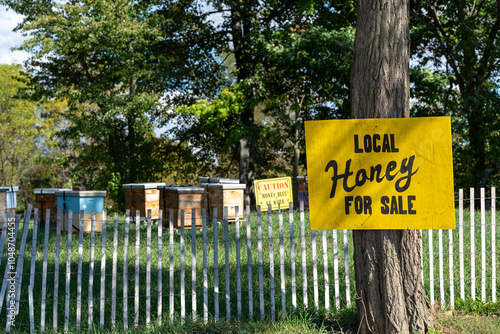 A vibrant yellow sign announces local honey for sale next to beehives nestled in a scenic rural setting filled with trees and grass. photo