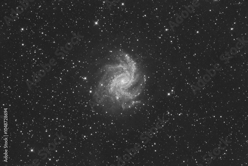 NGC 6946 galaxy in the Cepheus constellation, taken with amateur telescope. photo