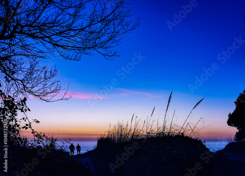 Hora azul en la Ría de Vigo. Galicia. España. Europa. photo