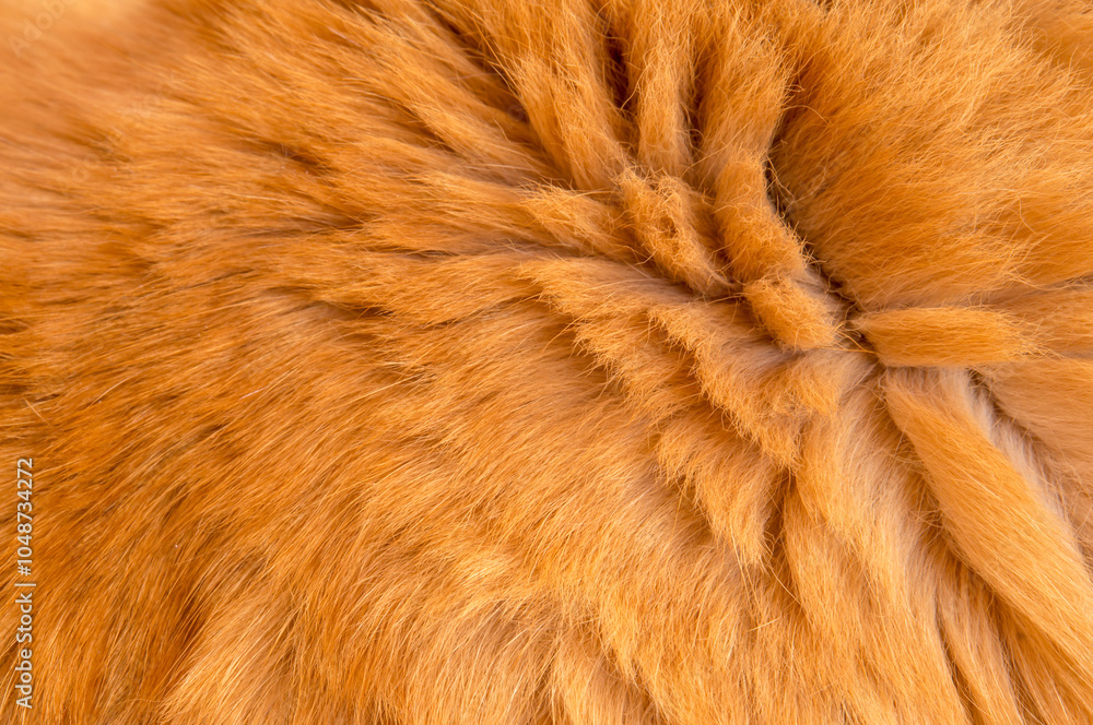 custom made wallpaper toronto digitalRed wool in the background. Close-up of red fur. Red animal's coat