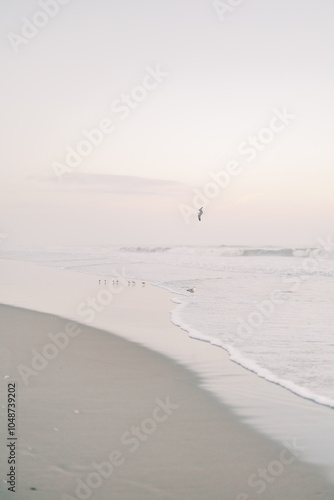 Empty Beach at Dusk