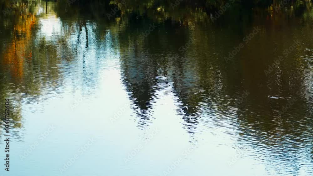 Calm on the water.
Morning by the river.
Morning in nature by the river.
Reflection of the sky on the surface of the lake.
A beautiful lake outside the city.
Quiet and peaceful place by the water Calm on the water.
Morning by the river.
Morning in nature by the river.
Reflection of the sky on the surface of the lake.
A beautiful lake outside the city.
Quiet and peaceful place by the water