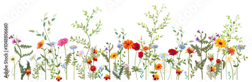 Horizontal autumn's border: marigold, poppy, thistles, gerbera, daisy flower, small green twigs, red berries on white background. Digital draw, illustration in watercolor style, panoramic view, vector
