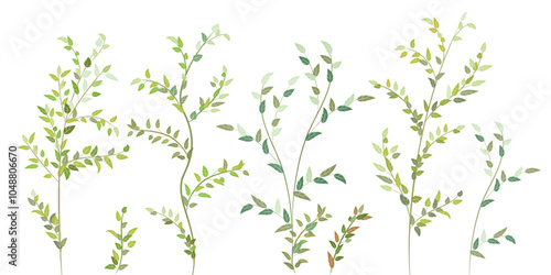 Wallpaper Mural Branches of deciduous tree. Decorative green leaves, twigs similar to birch, alder, aspen, hazel. Attractive bright bushe, curly and fresh. Realistic botanical illustration on white background, vector Torontodigital.ca