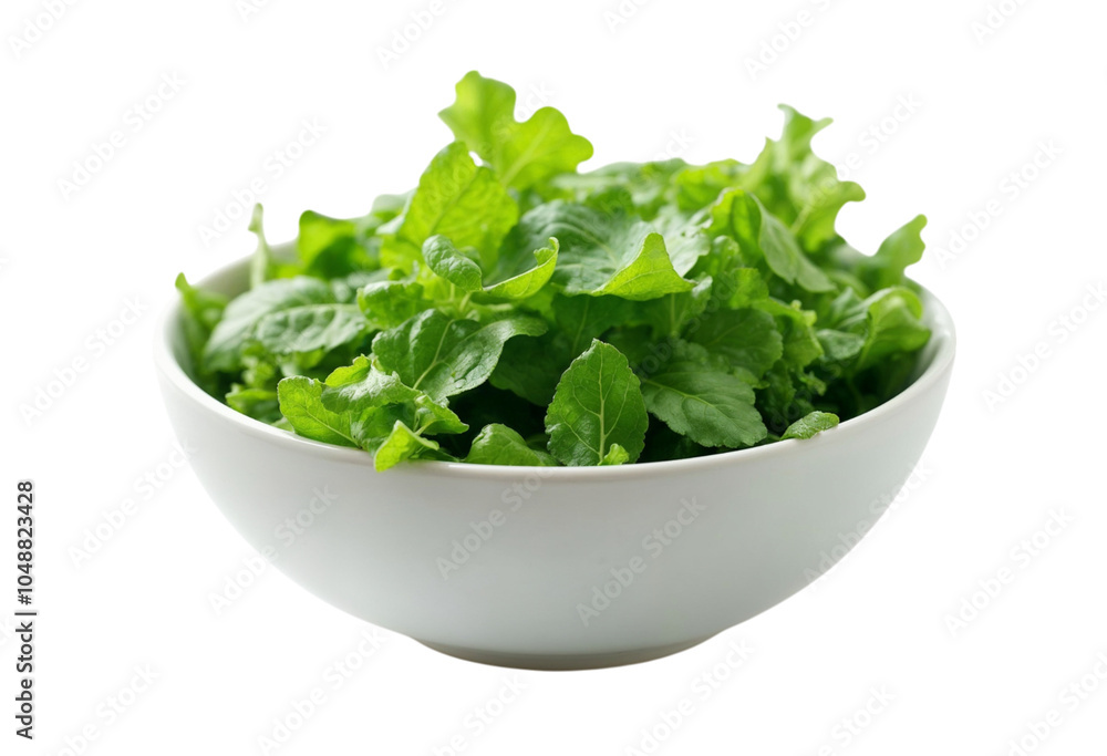 bowl of green salad bowl of green salad