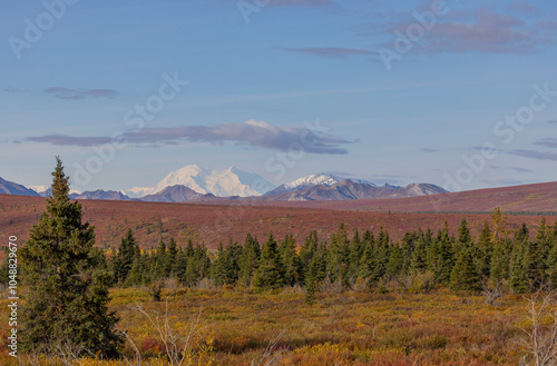 Denali National Park Alaska Scenic Autumn Landscape