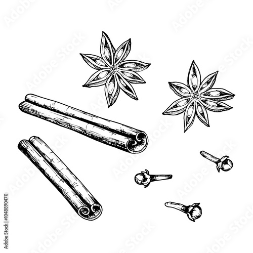 Vector ink drawn clipart of cinnamon sticks, star anise and cloves. Perfect for Christmas holiday prints, spice design, hot winter drinks: punch, mulled wine, tea. Good for menu, pastry shop packaging