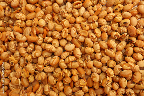 Closeup of soybeans, soybean background, texture of soybean