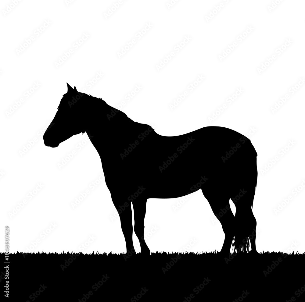 Obraz premium horse vector Sihlouette isolated on white background