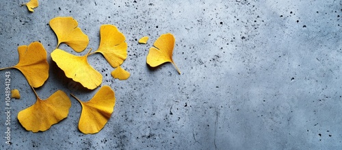 Golden yellow Ginkgo Biloba...