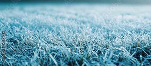 Frost on grass with copyspa...