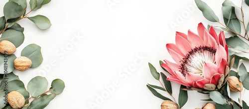 A lovely pink King protea i...
