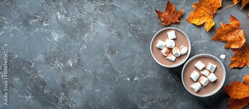 Hot chocolate with marshmal...