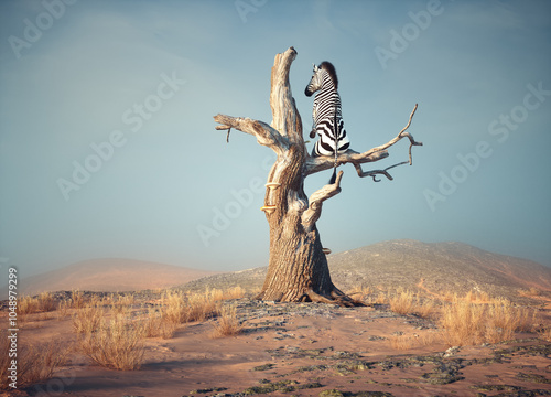 Zebra stands on thin branch of withered tree in surreal landscape.