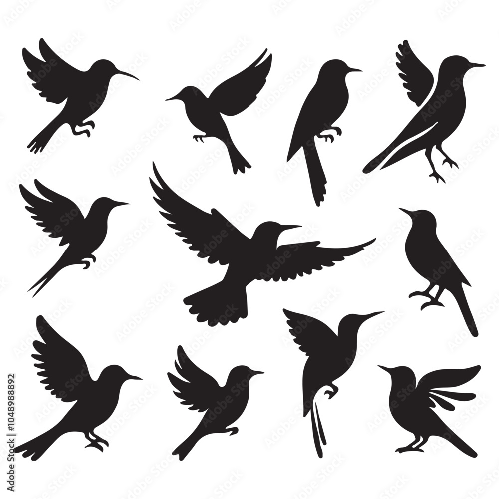 Fototapeta premium Collection of Bird silhouette vector illustration