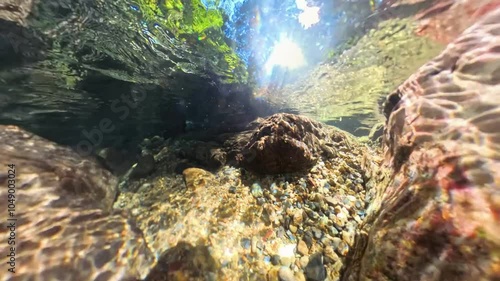 透明度が高く水面の乱反射が綺麗な青く透き通る水中動画
