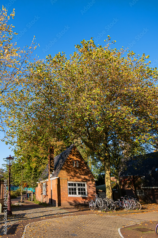 Picturesque cityscape with vibrant autumn colors of Amsterdam brick houses, trees, canals. Amsterdam, The Netherland. Picturesque cityscape with vibrant autumn colors of Amsterdam brick houses, trees, canals. Amsterdam, The Netherland.