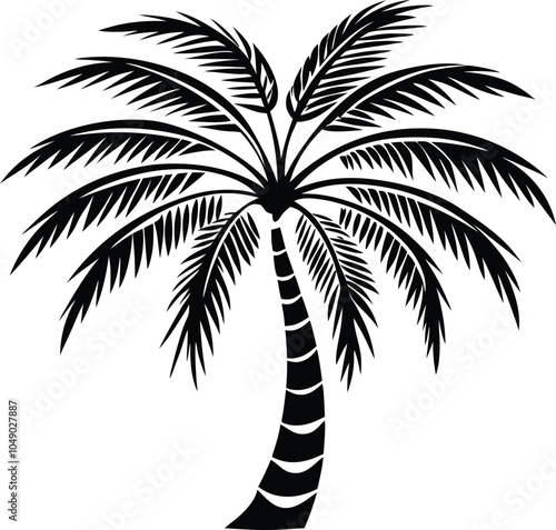 palm tree silhouette