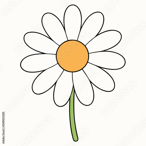 chamomile flower Vector illustration, flat style.