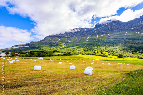  In the fields lie sheaves of grass