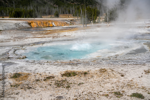 an active geyser spring with an intermittent discharge of water ejected turbulently and accompanied by steam photo