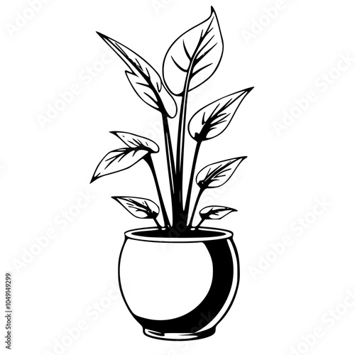 Plants Cast Iron Plant