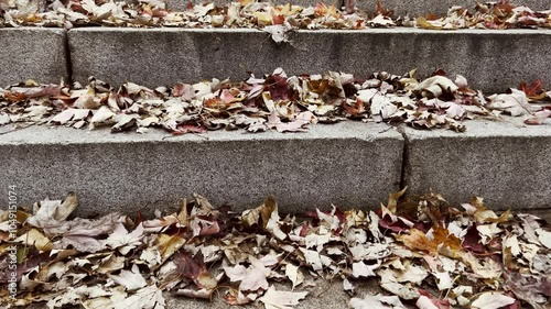 Wallpaper Mural 4K Close-Up of Fallen Leaves on Concrete Steps Torontodigital.ca