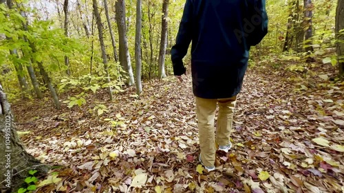 Wallpaper Mural Autumn Walk in 4K - Person Walking in the Woods Torontodigital.ca