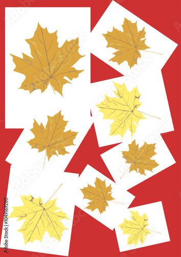 autumn leaves isolated on white