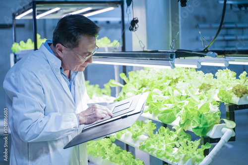 Agricultural researcher working in a greenhouse. Inside of Greenhouse Hydroponic Farm Eco system. Urban hydroponics farm with worker inspecting salad.