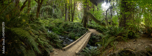 Wooden Bridge Runs Over Mineral Creek Falls