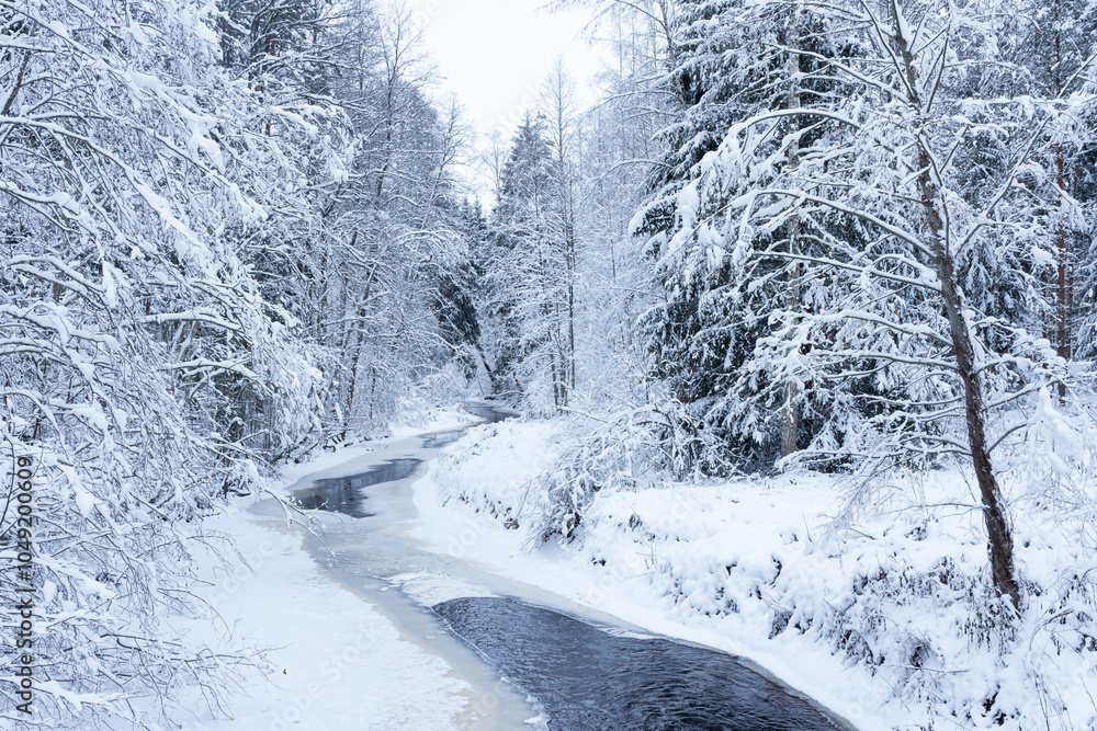 A view to a small stream freezing on a snowy winter day in rural Estonia, Northern Europe A view to a small stream freezing on a snowy winter day in rural Estonia, Northern Europe
