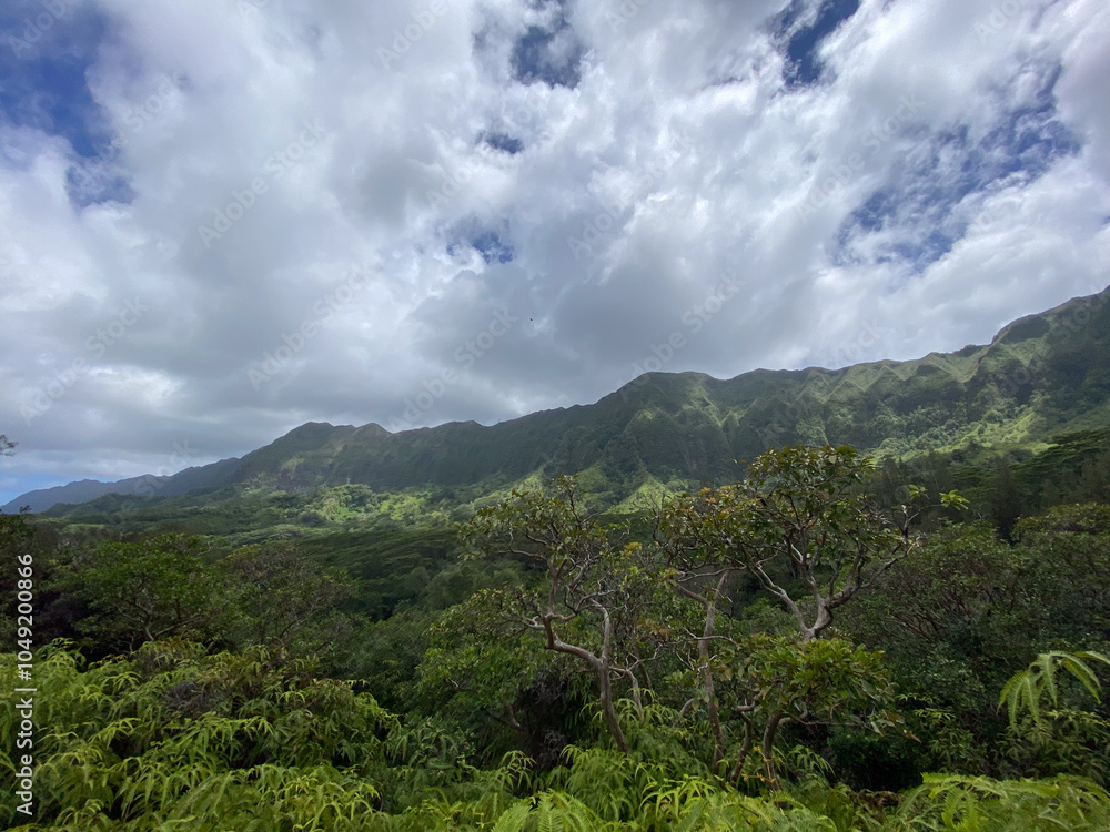 Naklejka premium Oahu Mountain Ridge 1