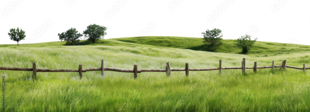 PNG Landscape field grassland outdoors. PNG Landscape field grassland outdoors.