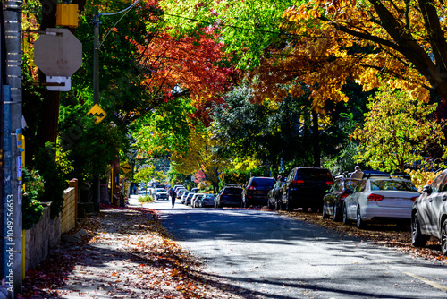 Photography street in autumn with person riding scooter, parked cars and fall color shot in