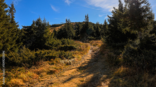 The trail to the Pilsko mountain from the Glinne pass. The season of autumn, called the 