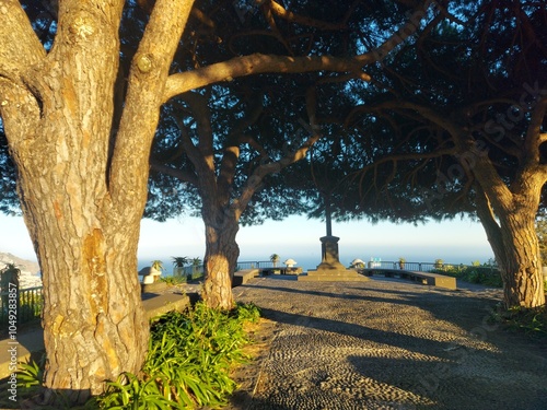 coastline, nature, tree, sky, clouds, tourism, landscape, travel, destination, peace, portugal, madeira, island, garden, tree, park, outdoor, cityescape photo