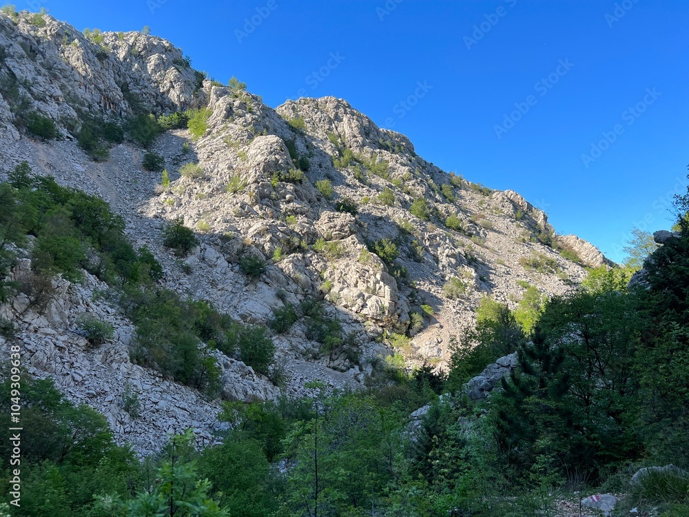 Obraz premium Mala Paklenica Canyon, Seline (Paklenica National Park, Croatia) - Die Schlucht von Mala Paklenica, Seline (Nationalpark, Kroatien) - Kanjon Male Paklenice (Nacionalni park Paklenica, Hrvatska)