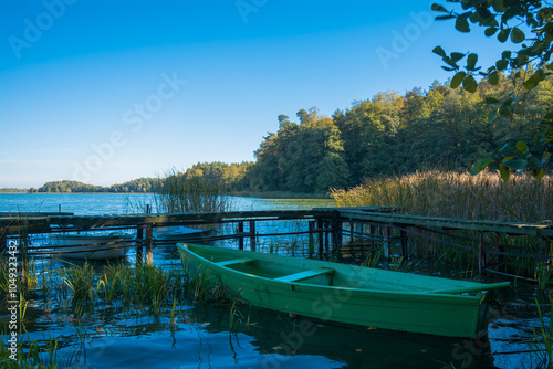 lake in the forest