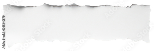 PNG Paper with a torn edge white background ripped.