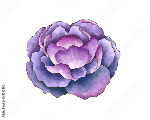 Untitled ArFlower Collection Illustration with Transparent Background. Colorful Spring Floral Set twork
