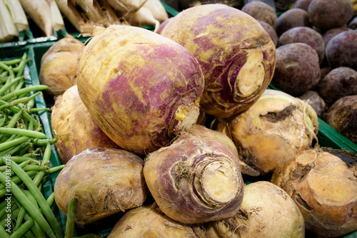 Brassica napus Napobrassica Group stacked rutabaga roots at a regional farmers' market in germany
