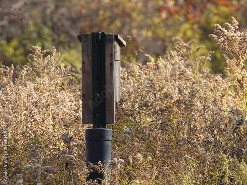 bird nest box photo