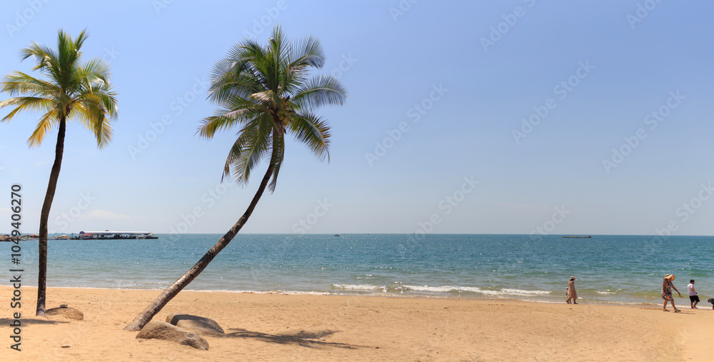 Obraz premium palm tree on the beach. Sanya Beach, Hainan Island, China.