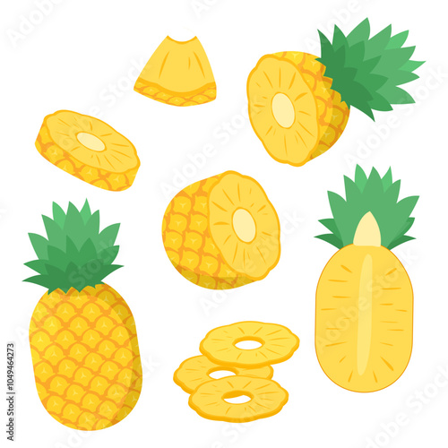 set collection of pineapple fruit vector illustration, healthy tropical fruit