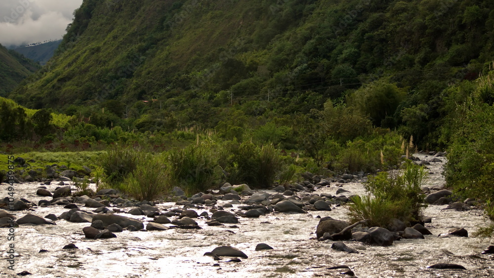 River running through the cloud forest in the Intag Valley outside of Apuela, Ecuador River running through the cloud forest in the Intag Valley outside of Apuela, Ecuador