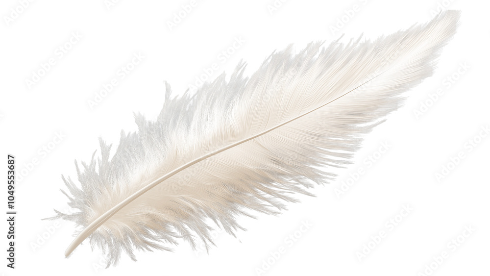 Fototapeta premium white feather transparent background 