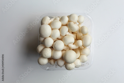 One pack of bunapi shimeji, or white beech, or white clamshell mushroom, isolated on white background, flat lay or top view photo